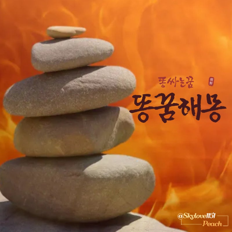 똥꿈 대변꿈 남의 똥꿈 화장실 변기에 똥싸는꿈 대변 똥먹는꿈
