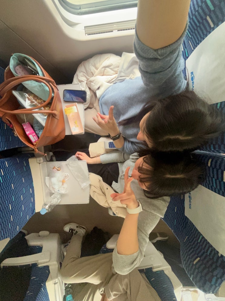 전주여행 1탄 : 뚜뚜와 자매의 1박2일 뚜벅이 전주한옥마을 ‧₊˚ ️⋅༘⋆