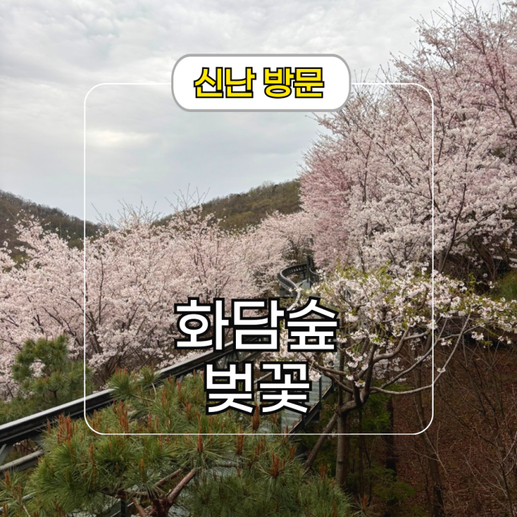  경기도 가볼 만한 곳 곤지암 화담숲 벚꽃 및 티켓 예매