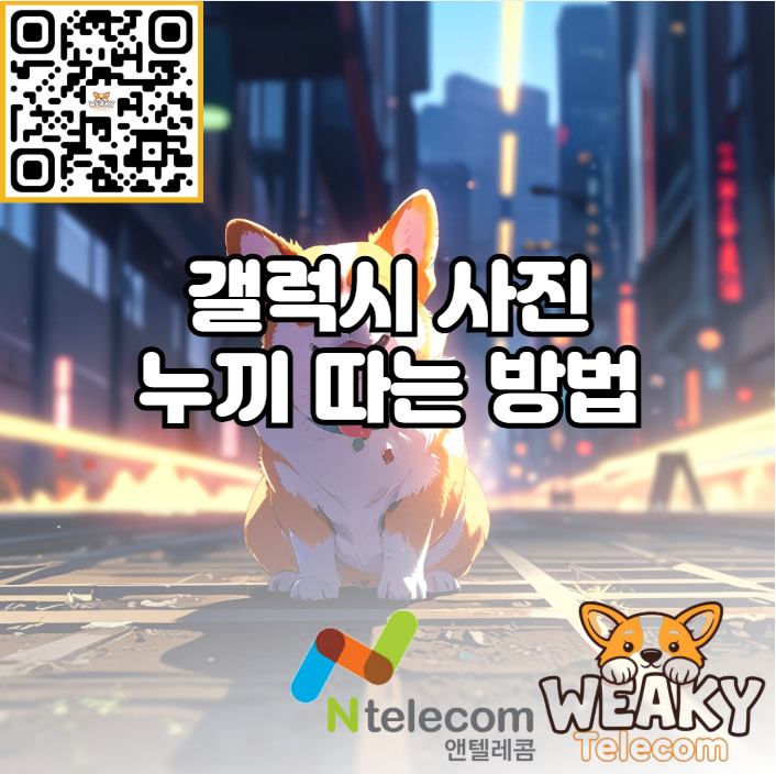  (갤럭시) 휴대폰으로 사진 누끼 따는 방법 알아보기!