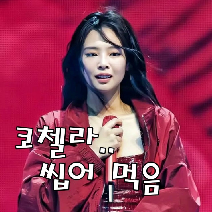 2025 <b>코첼라 무대</b> 씹어 먹은 <b>제니</b> 의상.. 헤메코 레전드네