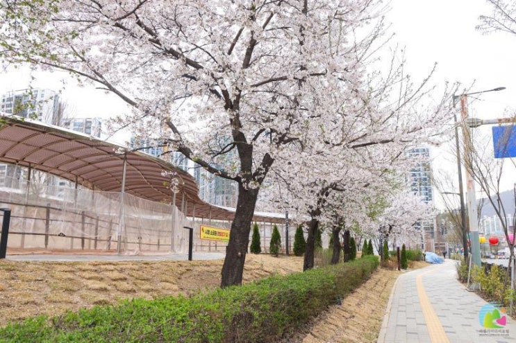  의왕시청 황토맨발길 다녀옴(비가와도 갈수 있는 맨발길)