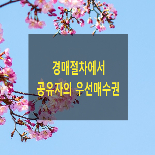  경매절차에서 공유자의 우선매수권
