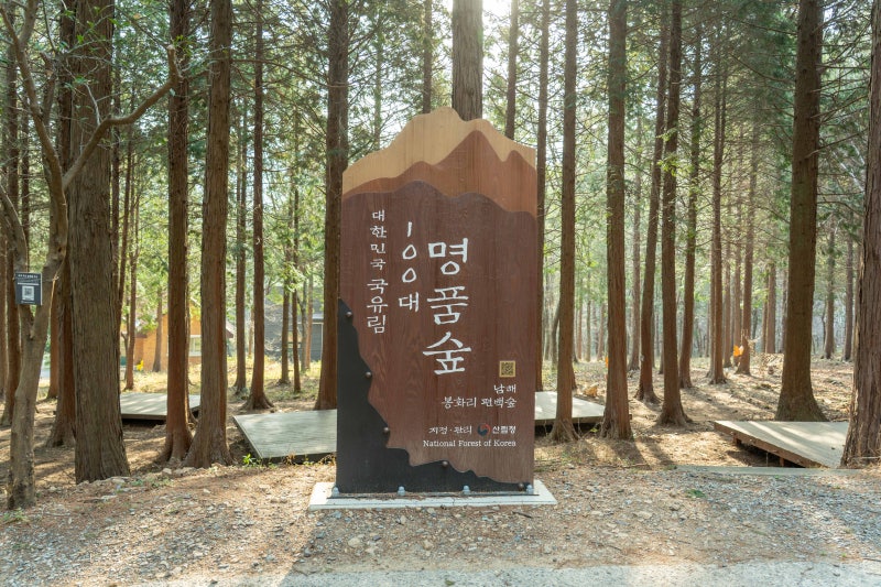 남해 숙소 추천 국립 남해편백자연휴양림 숲속의 집