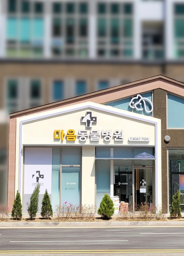  마음동물병원, 수원간판 20년 경력 윤디자인