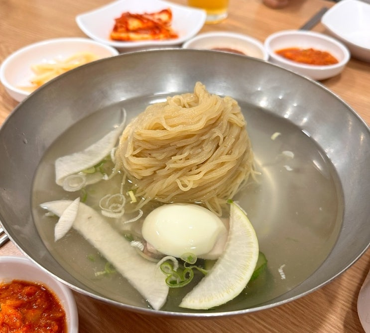  미쉐린 가이드 서울 2025 선정 평양냉면 유명 맛집 <진미 평양냉면> 내돈내산 방문후기|평양냉면&어복쟁반&제육까지 먹어본 결과 유명한 데는 다 이유가 있다.|강남 웨이팅 맛집