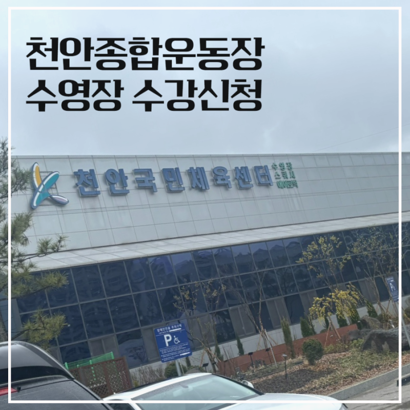 천안 수영장 종합운동장 수강신청 방법 할인 환불 총정리 (국민체육센터) 자유수영 오전 불....