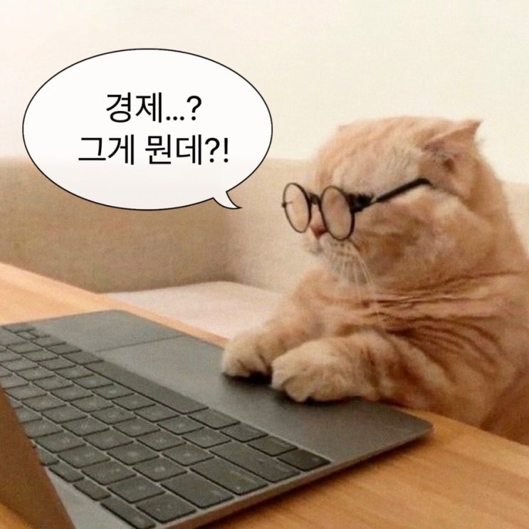  [경제공부] 2025년 경제 공부 도전기