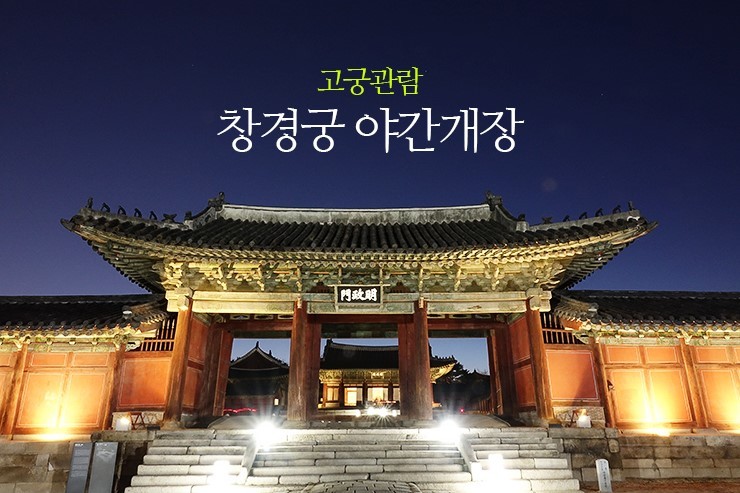  2025 창경궁 야간 개장 정보 총정리! 입장 시간부터 예매 방법까지