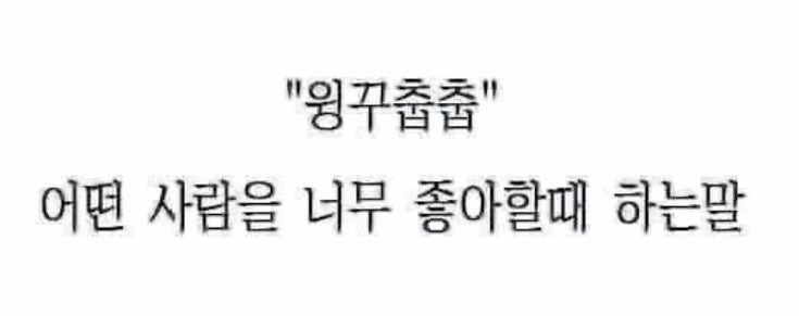 “윙꾸춥춥”