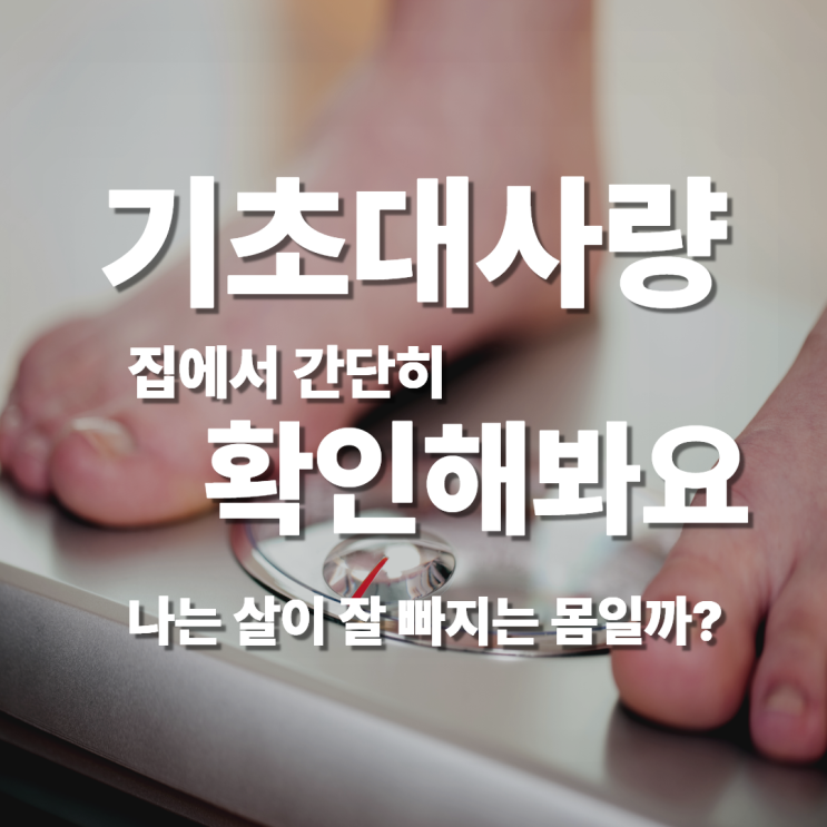  내 몸의 대사량, 자는 동안 체중 변화로 간단하게 확인하는 법