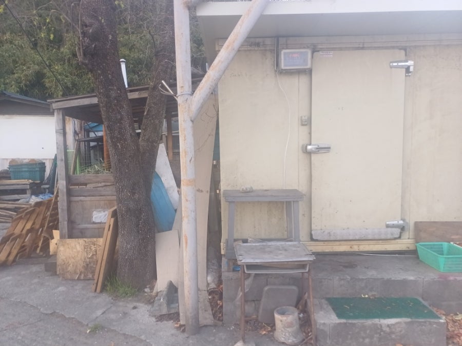 대관령둥지식당 사진 4