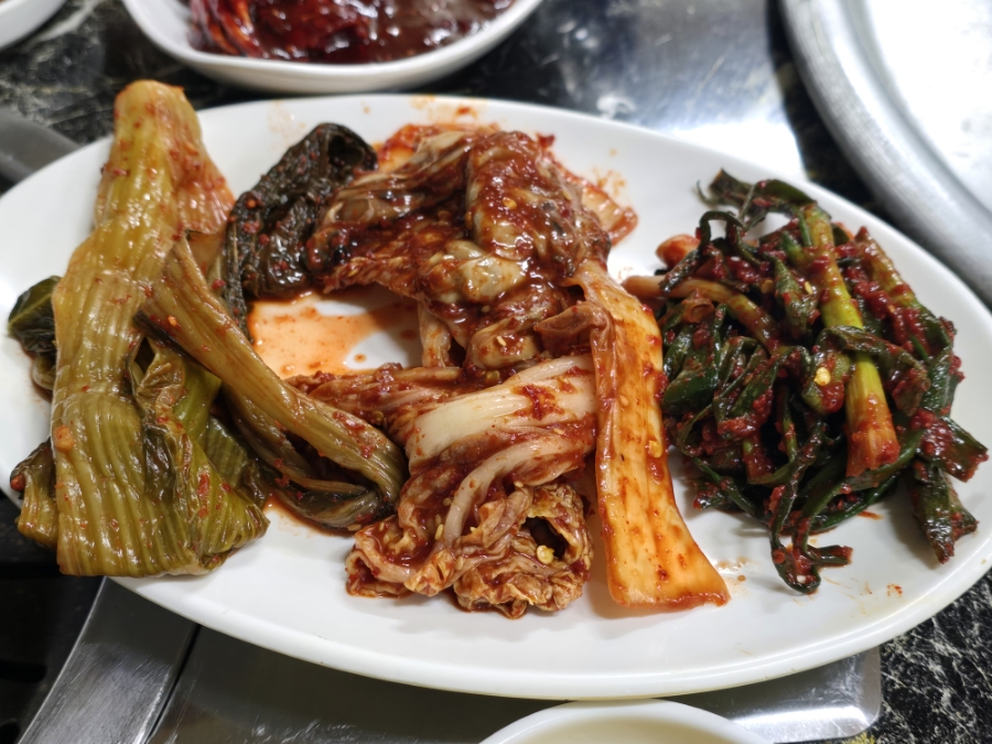 돼지들의합창 사진 4