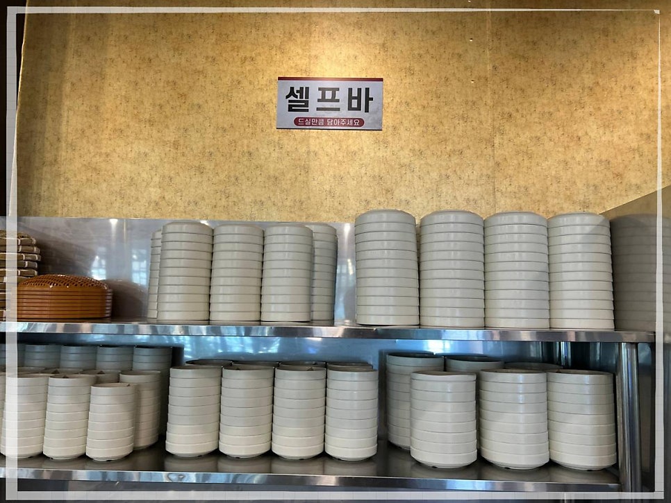 청와민물장어 사진 4