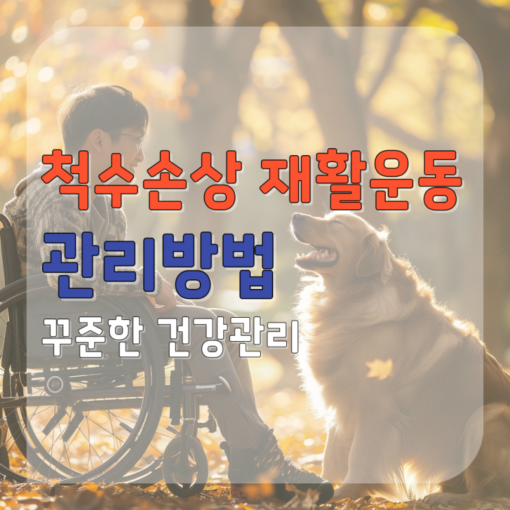  춘천 척수손상 재활운동 과정이 중요한 이유