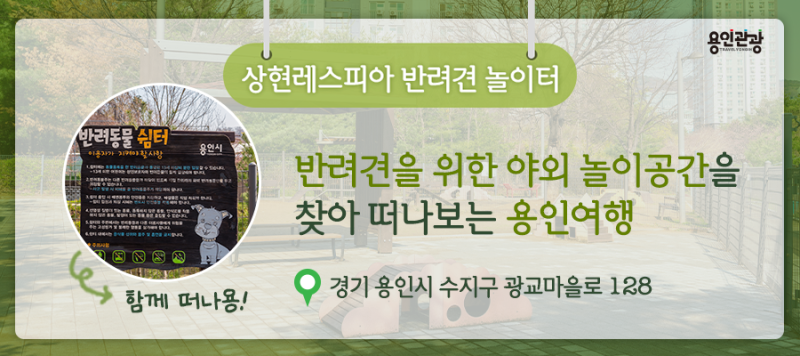 사진 8