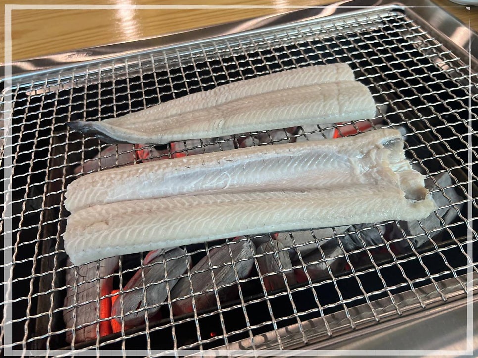 청와민물장어 사진 2