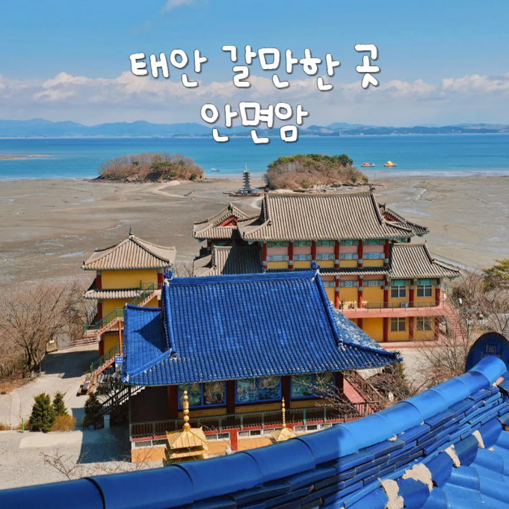 태안 여행 가볼만한곳 갯벌 풍경이 이색적인 절 안면암 태안 여행 가볼만한곳 갯벌 풍경이 이색적인 절 안면암