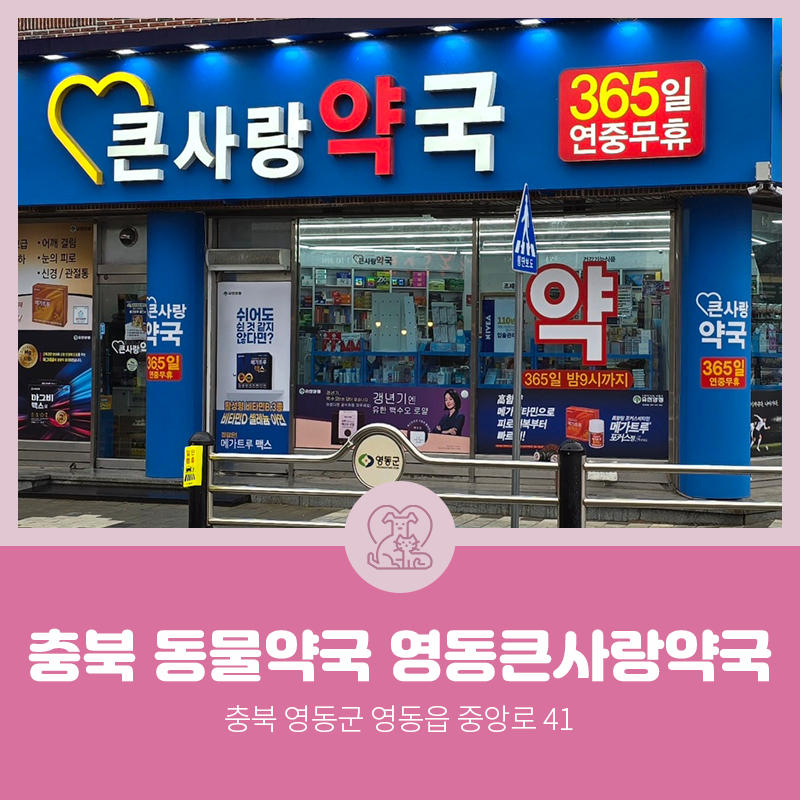 영동큰사랑약국 사진 1