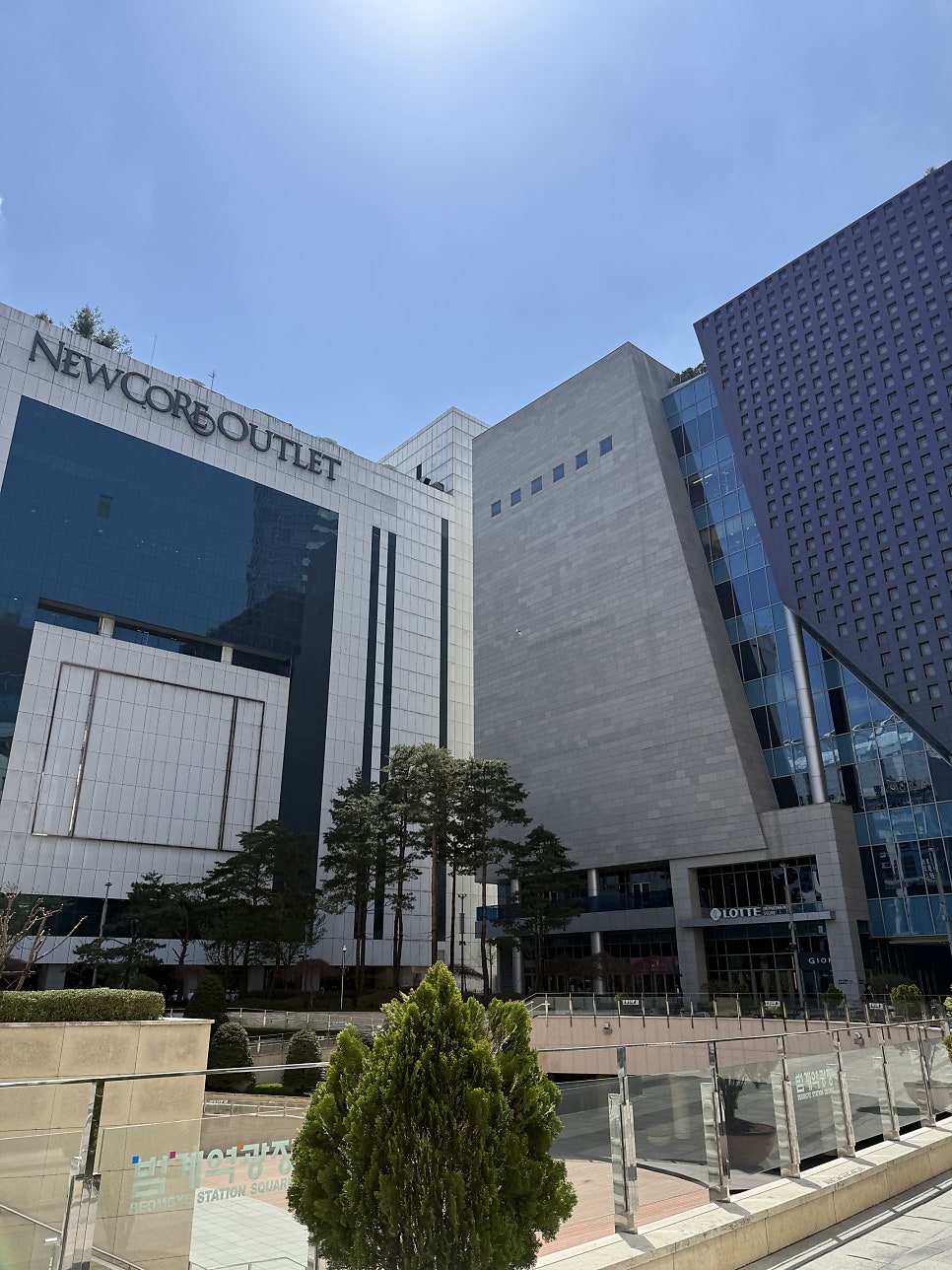 톰과제리 사진 2