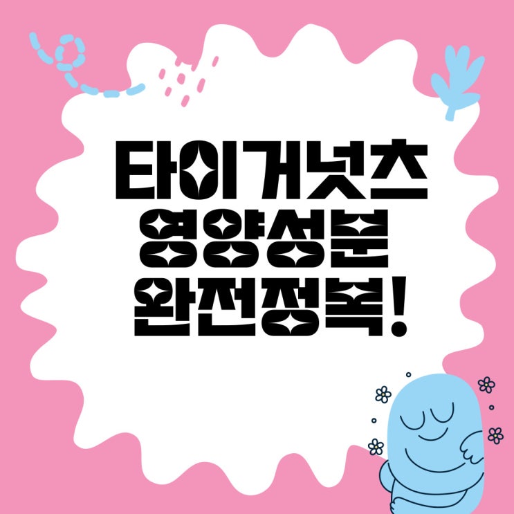  타이거넛츠 영양성분 완전정복! 다이어트, 변비, 혈관 건강까지 한 번에 잡는 비밀