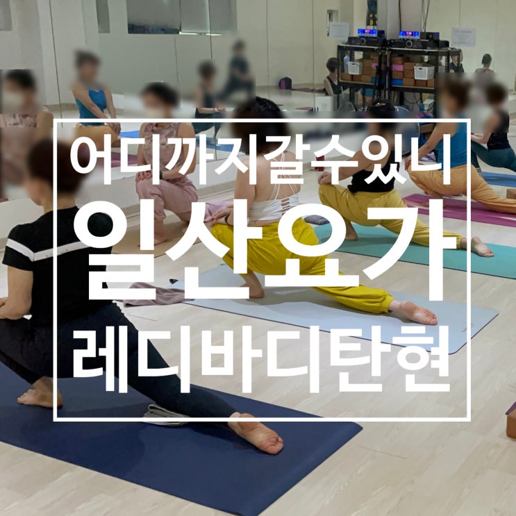  일산 요가 어디까지 갈수있니 힐링요가 후기