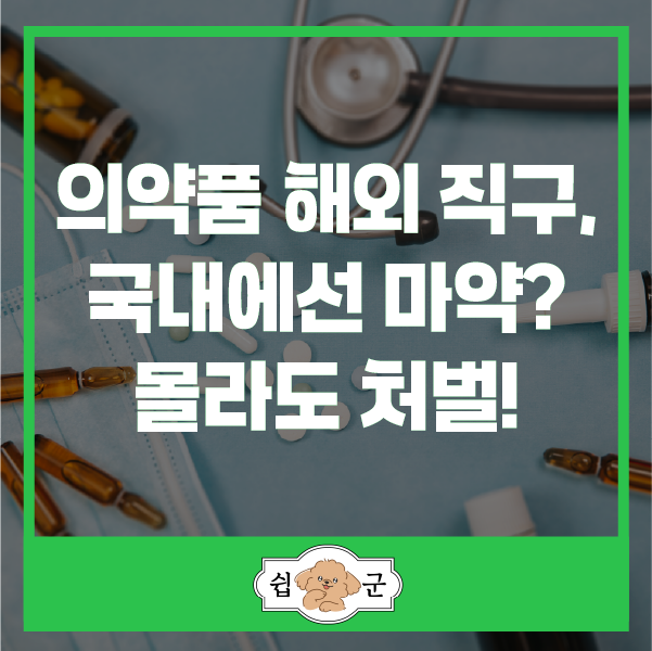  감기약 등 의약품 해외 직구시 주의 국내에선 마약류일지도