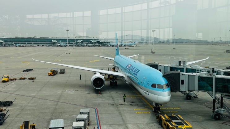  대한항공 삿포로 기내식 787-10 KE765 KE766 왕복 후기