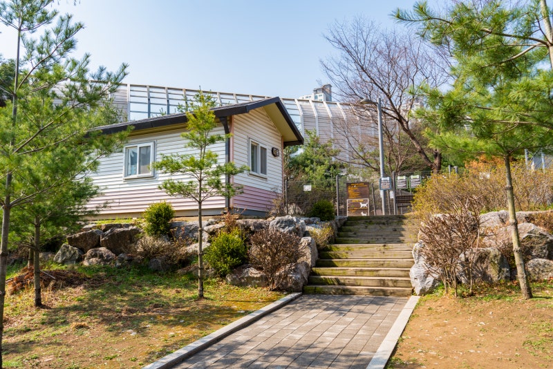 사진 9