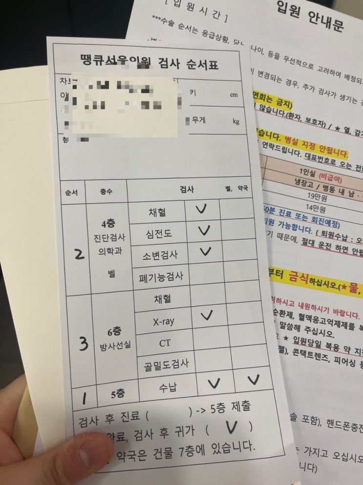  타석증 진단부터 수술까지 (feat.전신마취 후기)