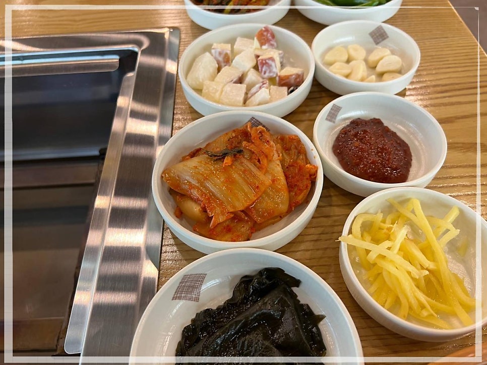 청와민물장어 사진 3