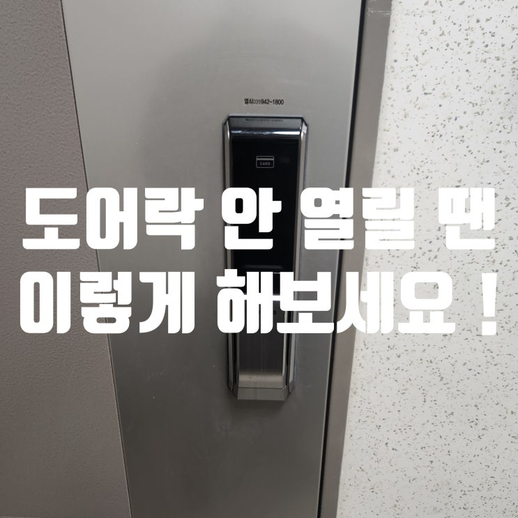  일산 현관문 도어락 안열릴때 비밀번호 안열림 빠르고 확실한 대처법
