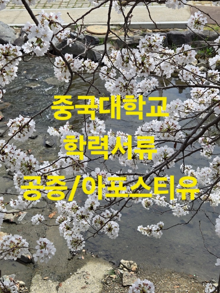  중국대학교 졸업증, 학위증, 성적서 공증 절차