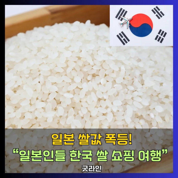 쌀 사러 오는 일본인들? 고공행진 쌀값에 벌어진 역수입 현장, 일본은 5kg에 4만2천 원 쌀 사러 오는 일본인들? 고공행진 쌀값에 벌어진 역수입 현장, 일본은 5kg에 4만2천 원