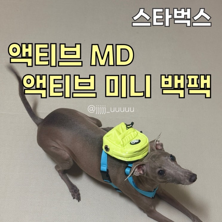  스타벅스 액티브 미니 백팩 액티브md 실사용 후기 착용샷 상세사진 내돈내산