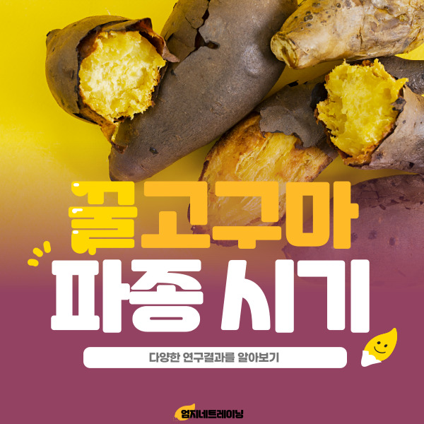  고구마 파종시기에 따른 수확량 변화와 연구 결과 분석