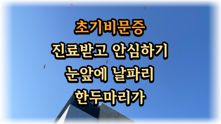  비문증으로 인한 안구검사 후기 시력감퇴나 시야방해가 없으면 괜찮데요