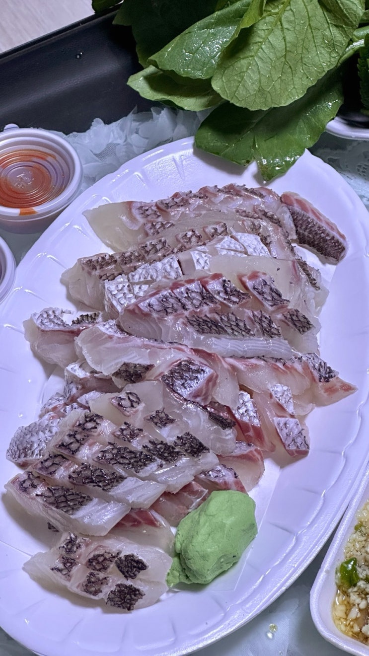  광주 월곡시장 참돔 유비끼 맛집 하남수산 포장 후기