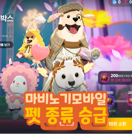  마비노기 모바일 펫 종류 승급 이름 짓기 먹이 구매