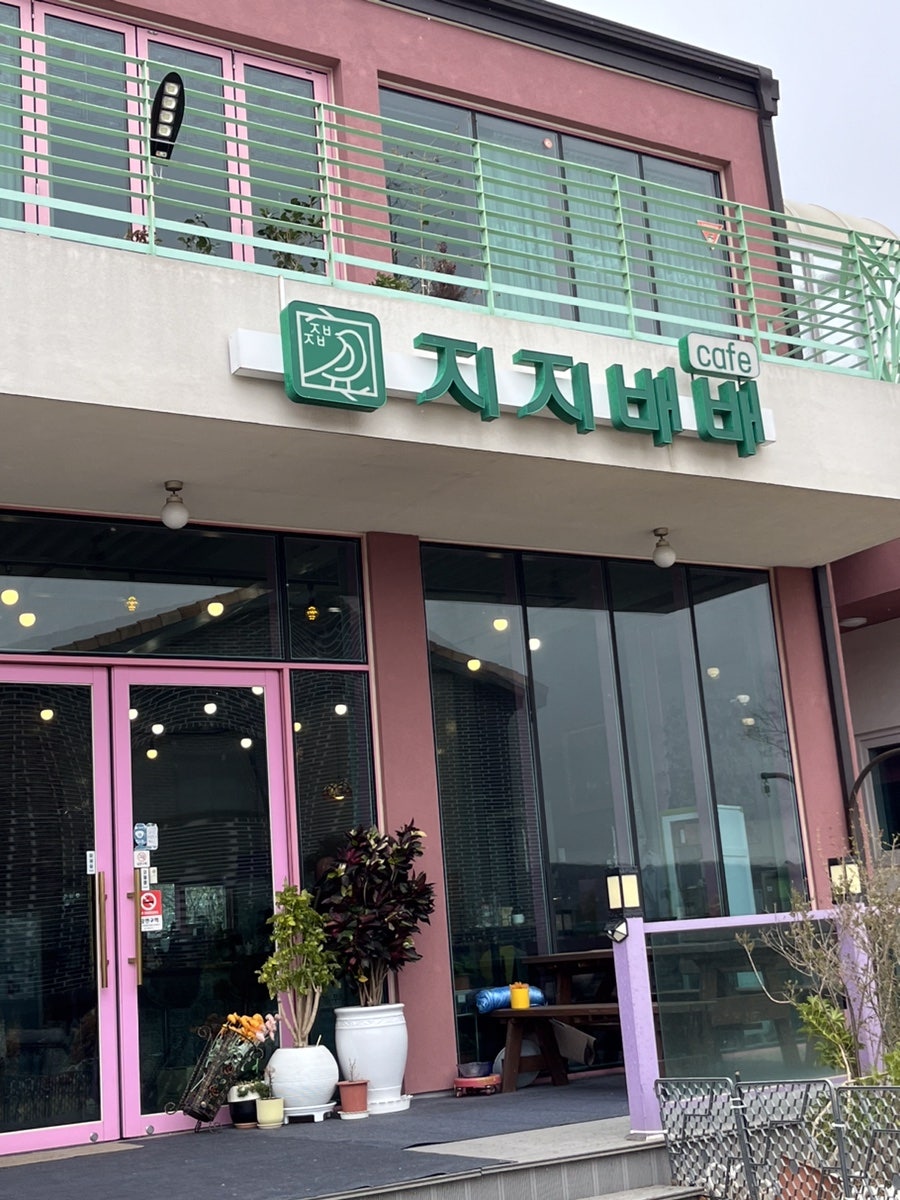 지지배배 사진 3