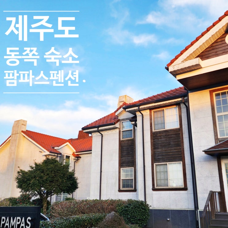  제주 동쪽 숙소 조천읍 교래리 팜파스 펜션