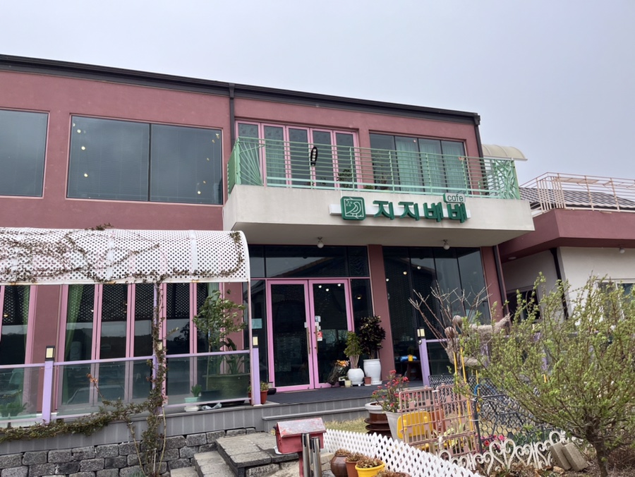 지지배배 사진 2