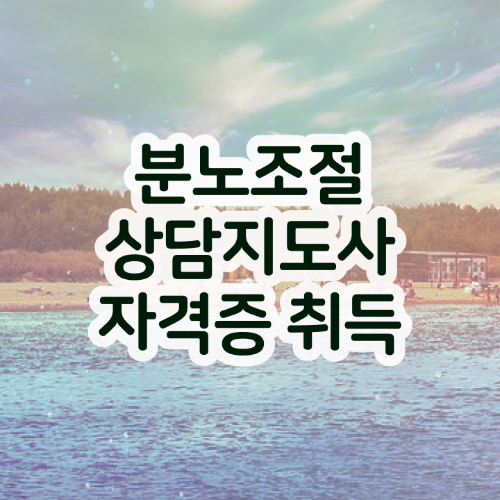  분노조절장애 아이 , 20일 만에 분노조절상담지도사자격증 취득한 방법