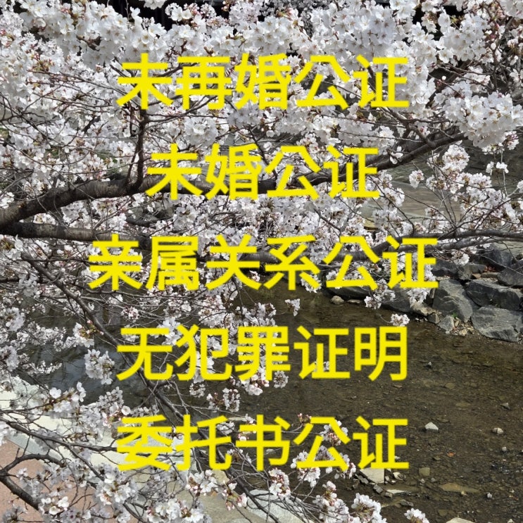  중국 미재혼 공증