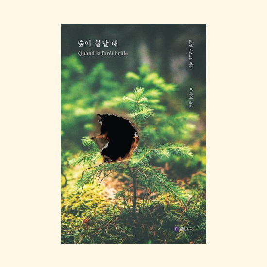 숲이 불탈 때 - 조엘 자스크