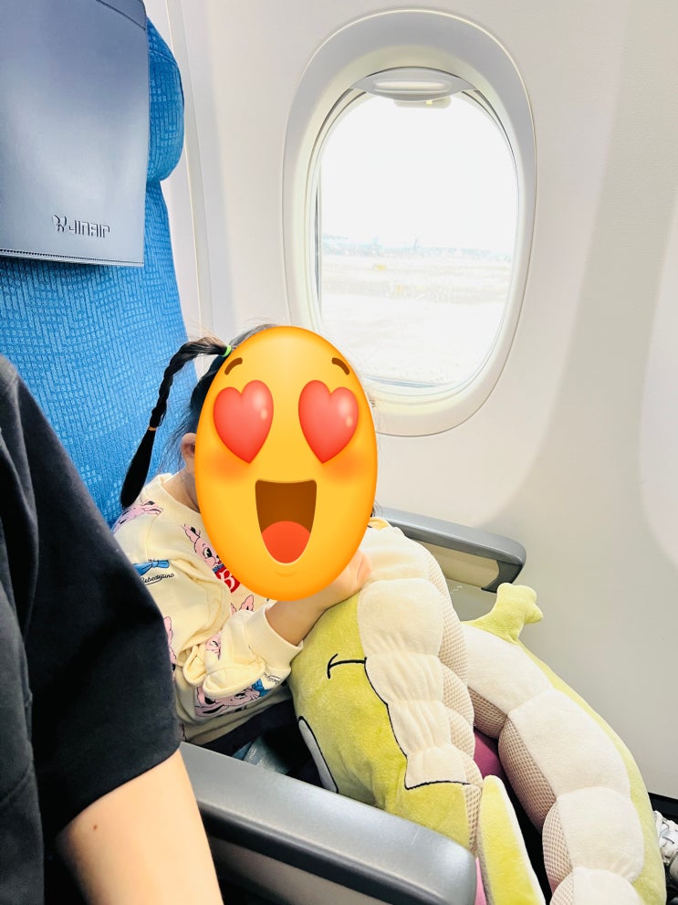  진에어로 떠나는 도쿄 여행 필수 팁! 항공권,수하물 규정, 기내식까지 완벽 가이드!