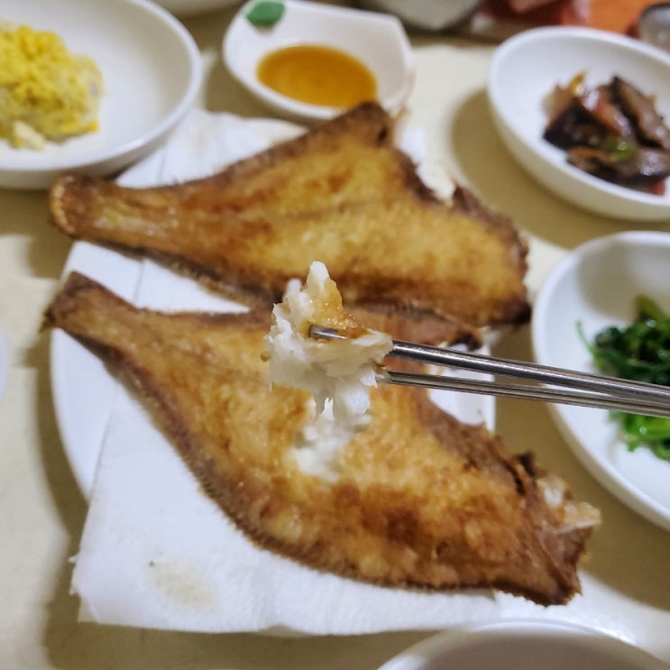  대전 현지인 생선구이 맛집_선화동 모아식당 솔직 후기(내돈내먹)