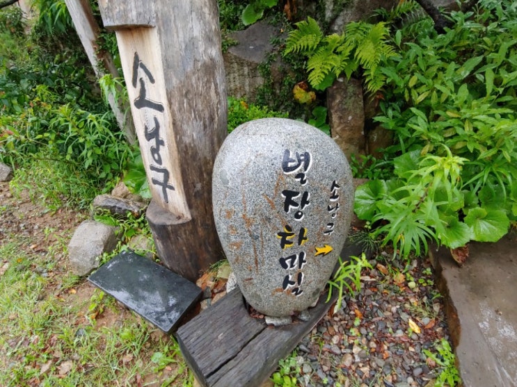  거제도 숙박 정말 아름다운 한옥 소낭구펜션 별장차마실 전통찻집 분위기좋은카페 차마실에서