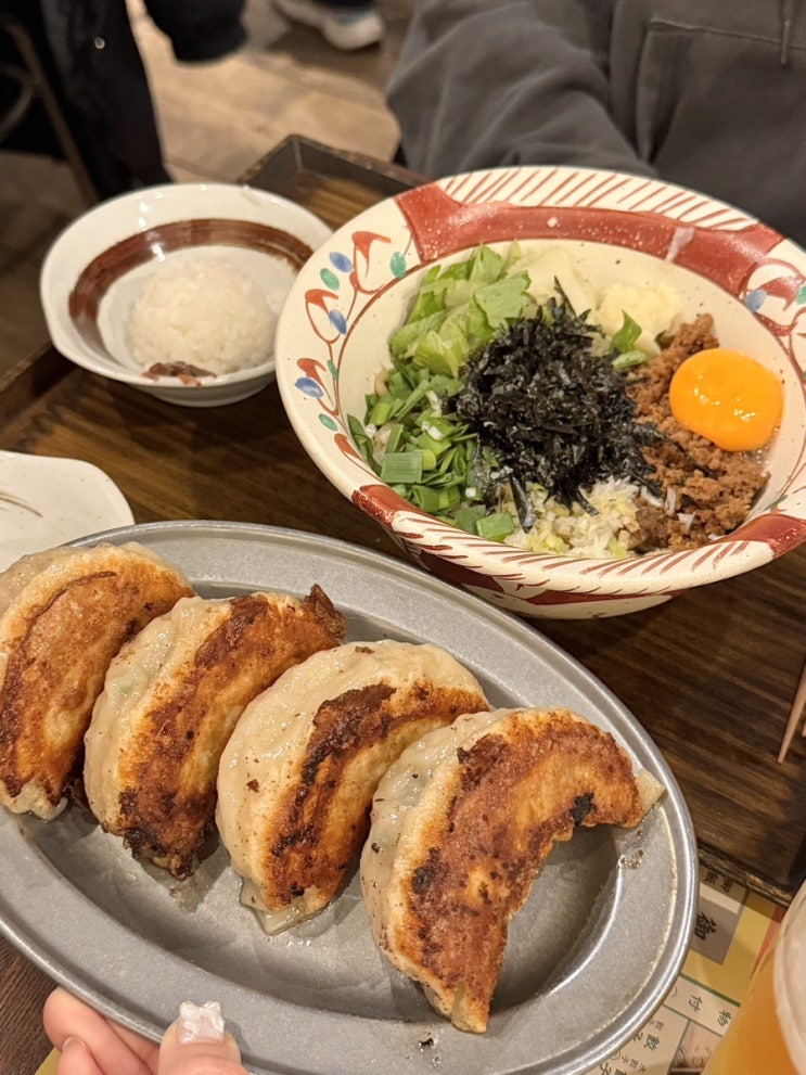 삿포로 교자제조소 왕크니까 왕맛있던 촉촉교자 맛집