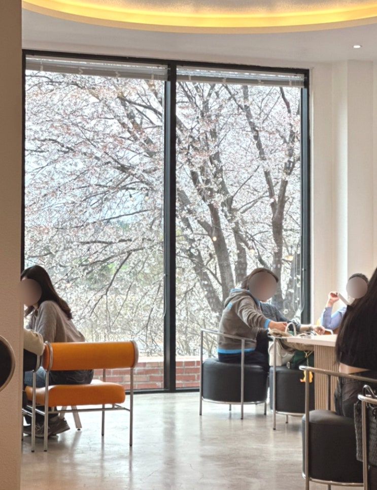  [충북 청주] 내수 벚꽃뷰 통창 카페 “에피 EPPY” 크림라떼 후기